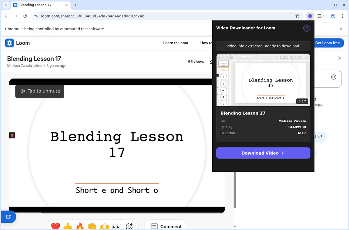 Loom Video Downloader browser extension screenshot 8